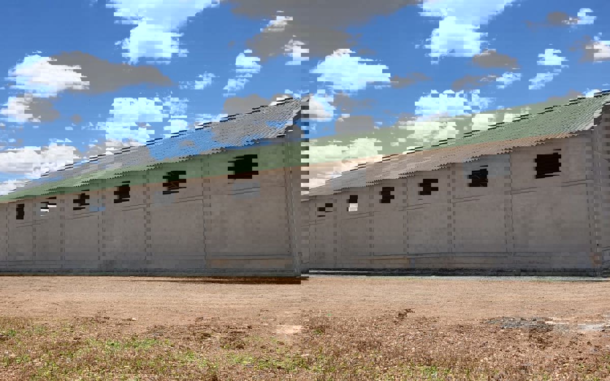 Protección de las explotaciones de rumiantes frente a la lengua azul