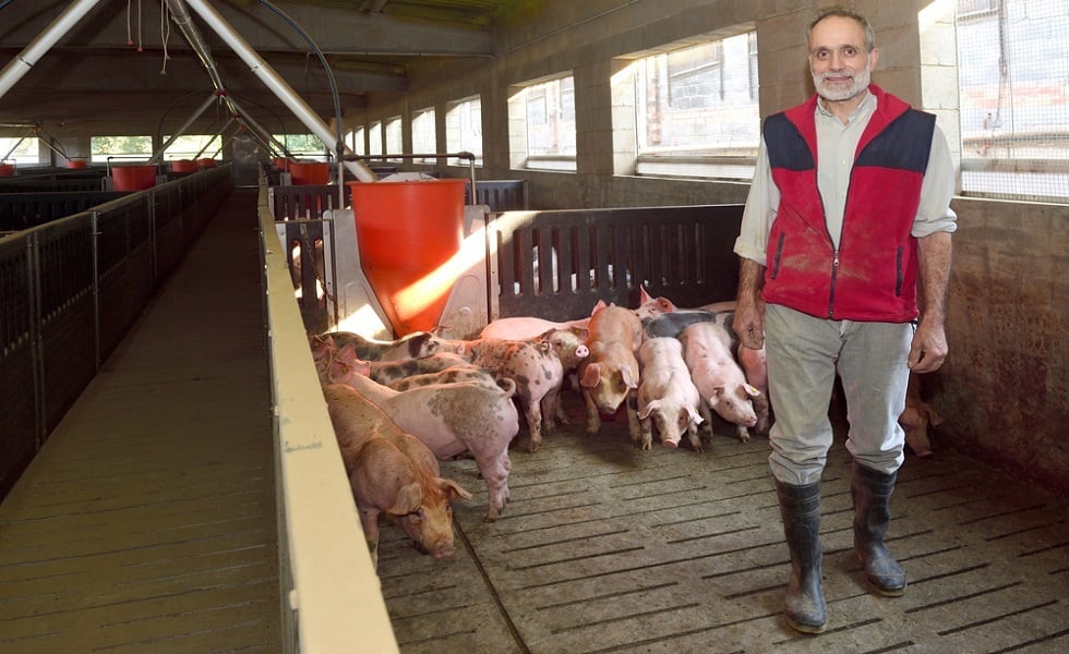 ¿Por qué elegir placas de fibrocemento Euronit para la cubierta de tu granja?