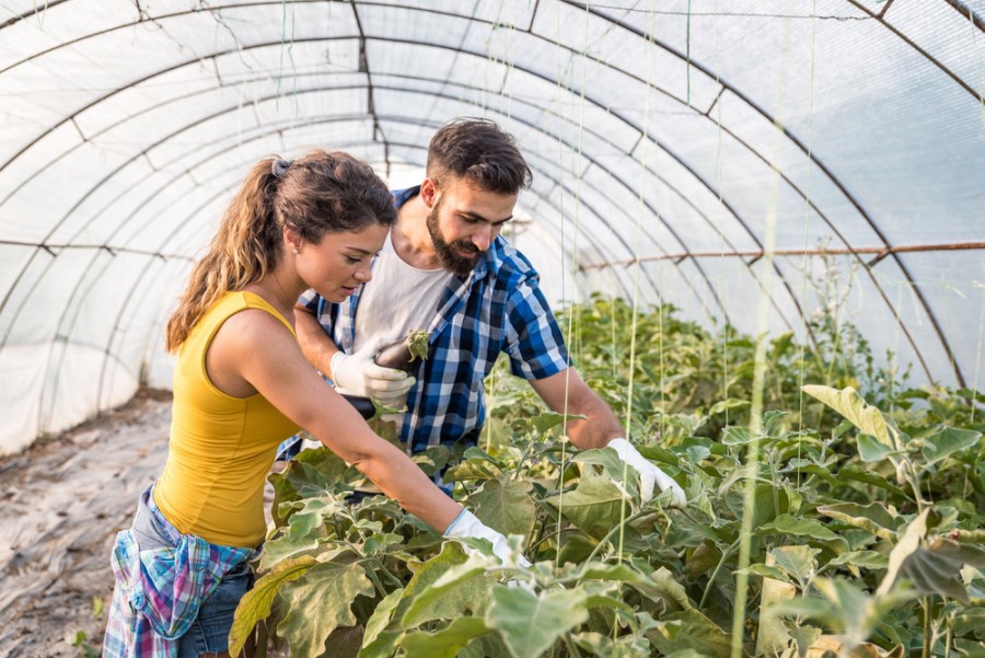 Euronit agroalimentario almacén nave