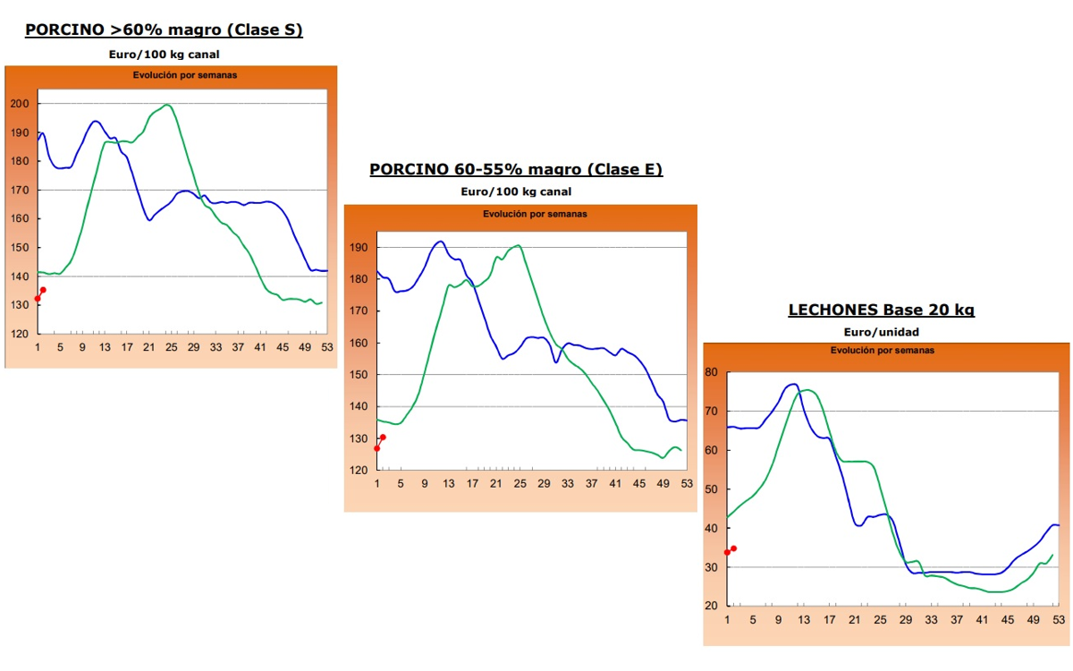 ¿Qué está pasando con el precio de la carne?
