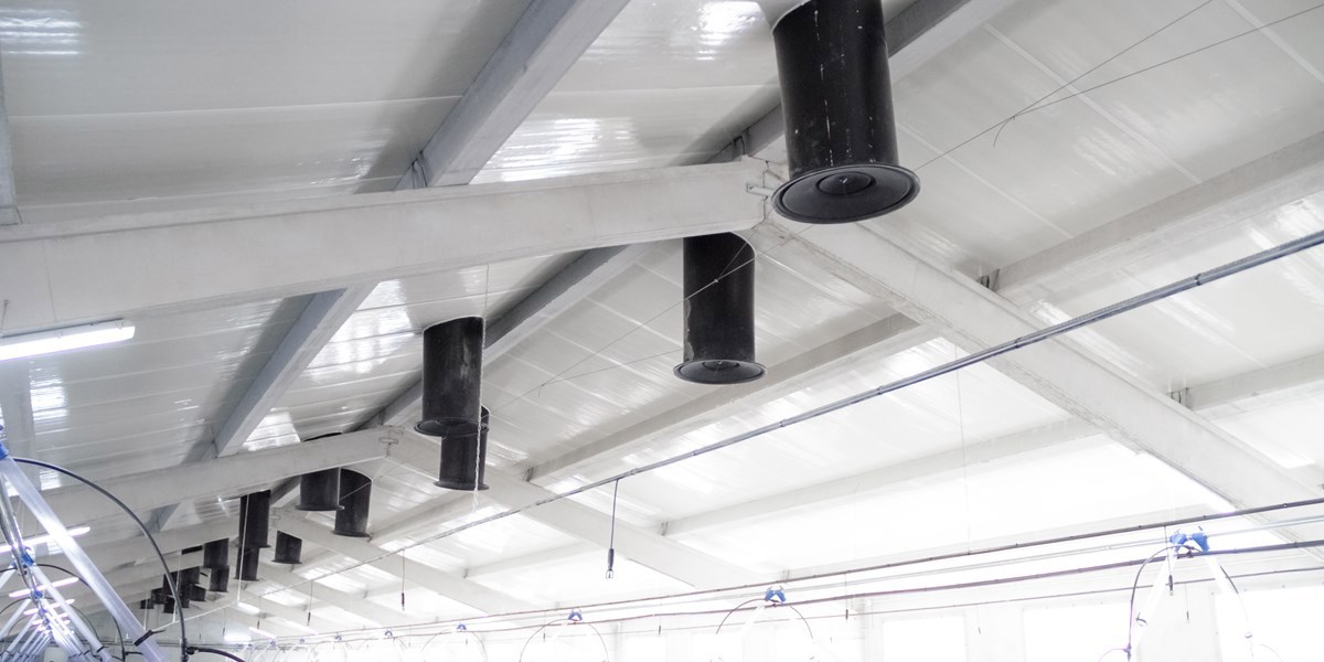 ¿Qué está pasando con el precio de la carne?