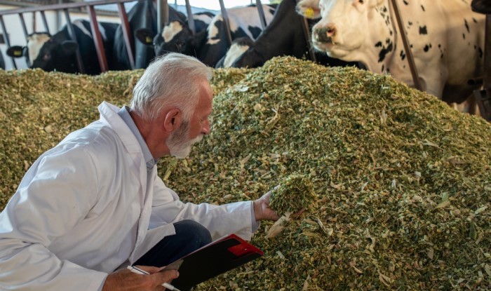 Consejos para conservar los alimentos de los animales en tu naves ganaderas