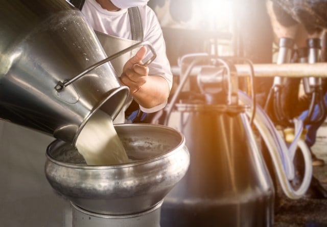 Cómo prevenir los efectos de las altas temperaturas en el vacuno de leche