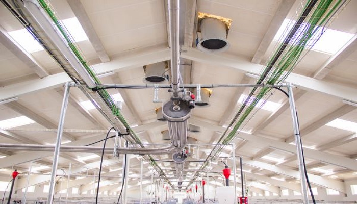 La ventilación por el tejado favorece un ambiente adecuado en las naves de engorde de cerdos