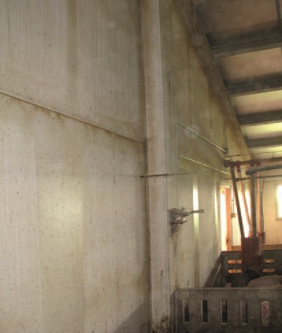 Aislamiento técnico en porcino (I)