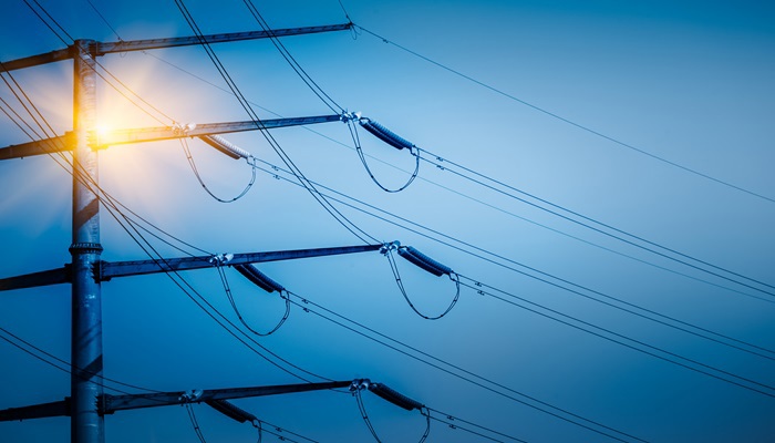 Apagón eléctrico masivo: Efectos en la ganadería