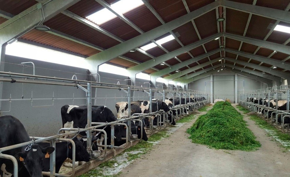 Las placas de fibrocemento son una alternativa muy ventajosa para contribuir al bienestar de los animales.