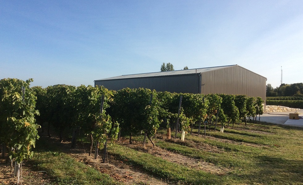 Diseñar y construir una bodega.