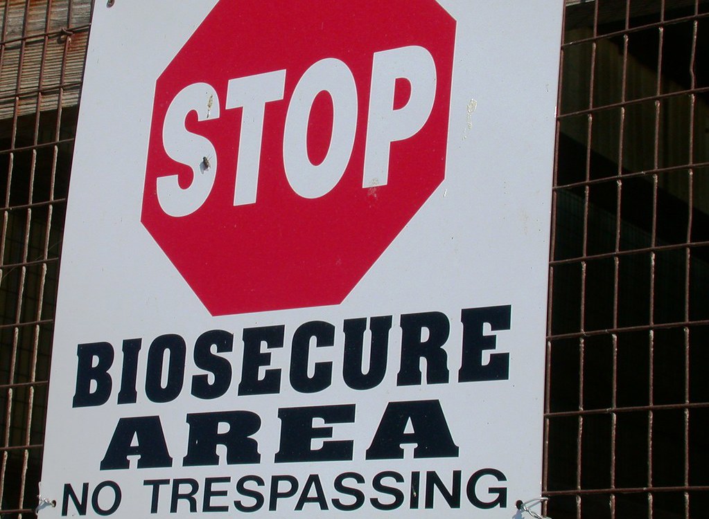 Bioseguridad en granjas porcinas, ¿cómo gestionarla?