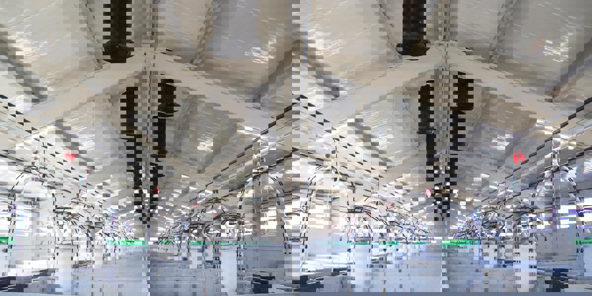 Bioseguridad en granjas porcinas, ¿cómo gestionarla?