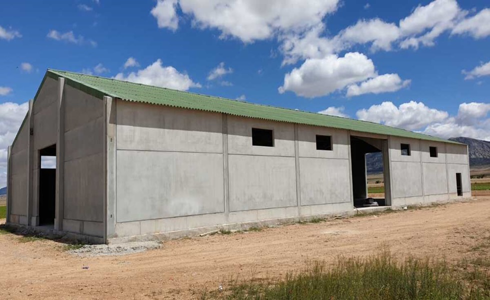 Liderazgo del lácteo español: retos y competencia europea