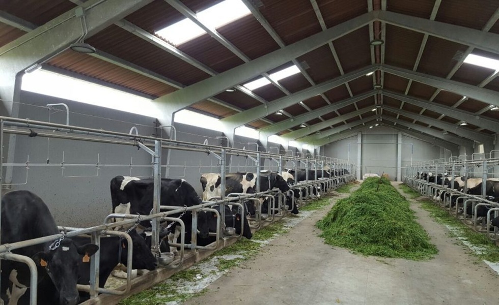 Salud animal: cómo la bioseguridad puede marcar la diferencia