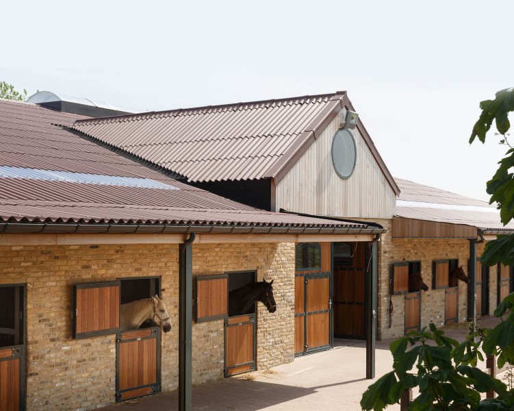 Cómo puede la cubierta agrícola contribuir a maximizar el bienestar animal